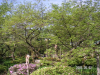s_pict0138_thumb.png